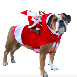 Santa's Riding Your Dog Christmas Outfit
