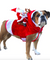 Santa's Riding Your Dog Christmas Outfit