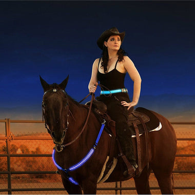 Fully Adjustable Dual LED Horse Chest Plate Harness