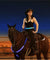 Fully Adjustable Dual LED Horse Chest Plate Harness