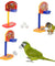 New Basketball Toy For Smart Birds