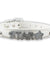 Collar Rhinestone Charm & Customized Diamond Name Bucklet For Pets