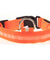 LED Collar Light For Pets