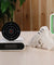 Gun Shoot Alarm Clock
