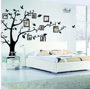 Family Tree Photo Frame Wall Sticker