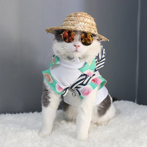 Cat-Dogs Sunglasses