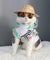 Cat-Dogs Sunglasses