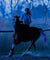 Horse Tail Lights - 100 CM Long - USB Rechargeable