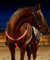 Fully Adjustable Dual LED Horse Chest Plate Harness